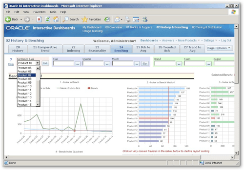 screenshot of the Oracle BI dashboard