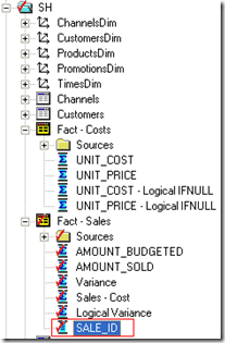 screenshot of a logical fact table