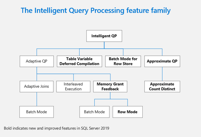 The Intelligent Query Processing feature family.