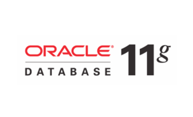 Oracle Database 11G