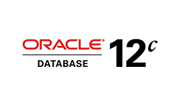 Oracle Database 12C