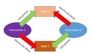 Screenshot 2026-01-20 at 11.27.12 AM