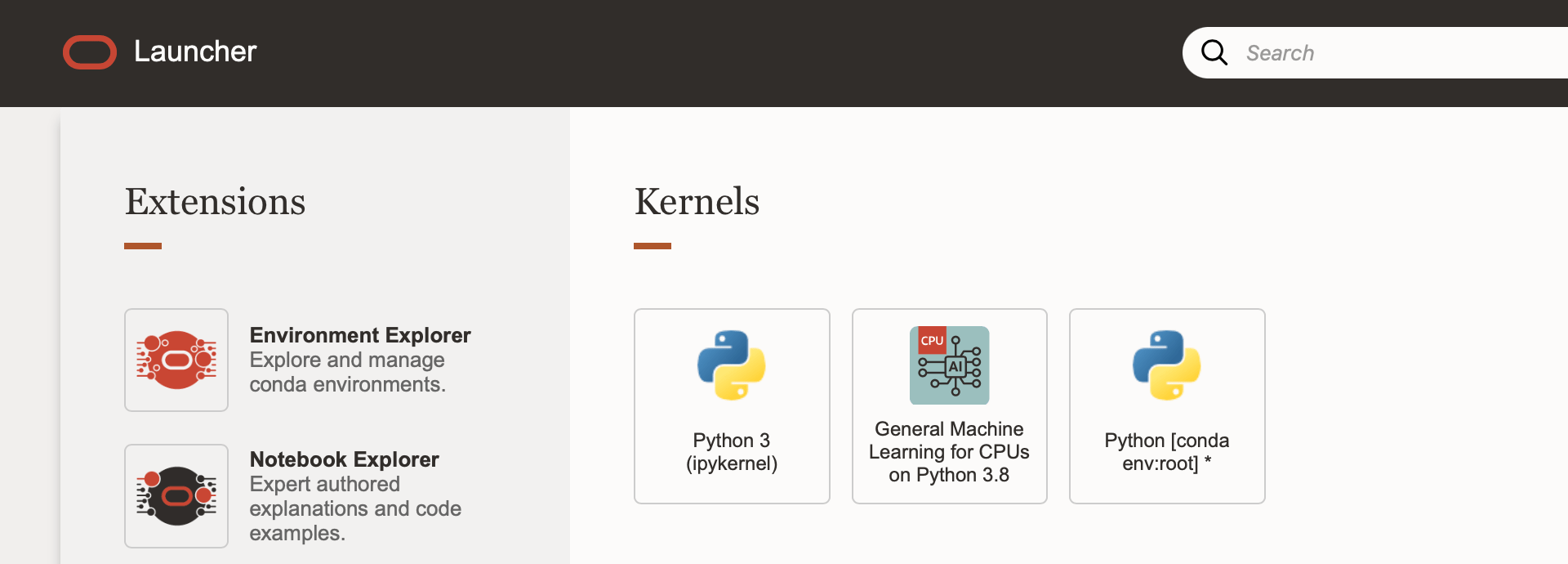 screenshot of the oracle launcher window