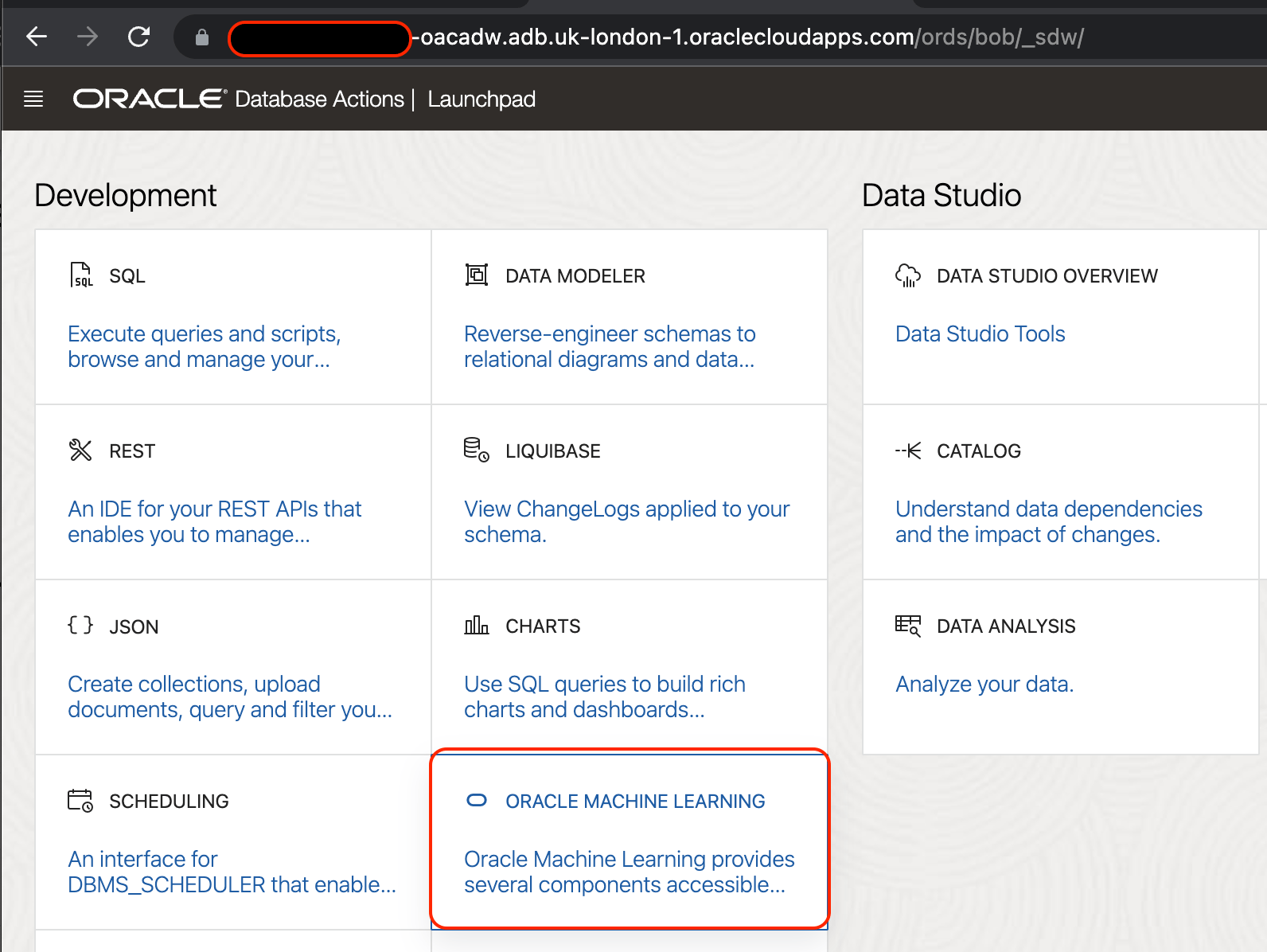screenshot of oracle development dashboard