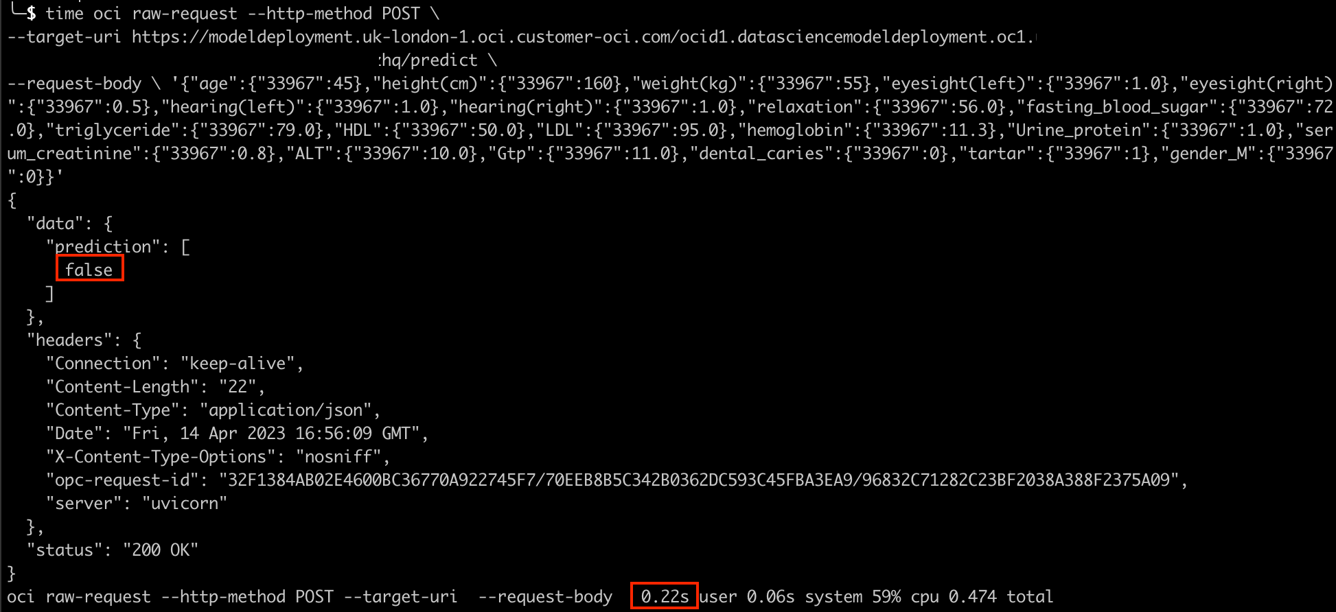 screenshot of the command line interface