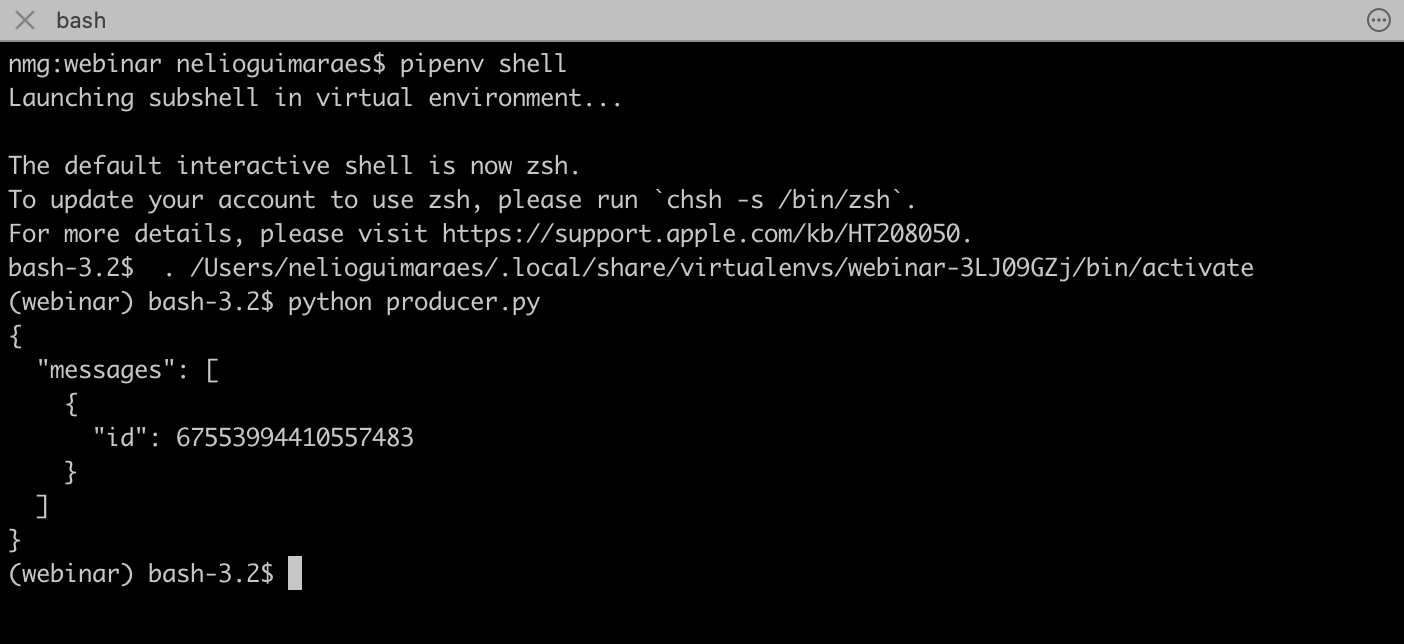 screenshot of the command line