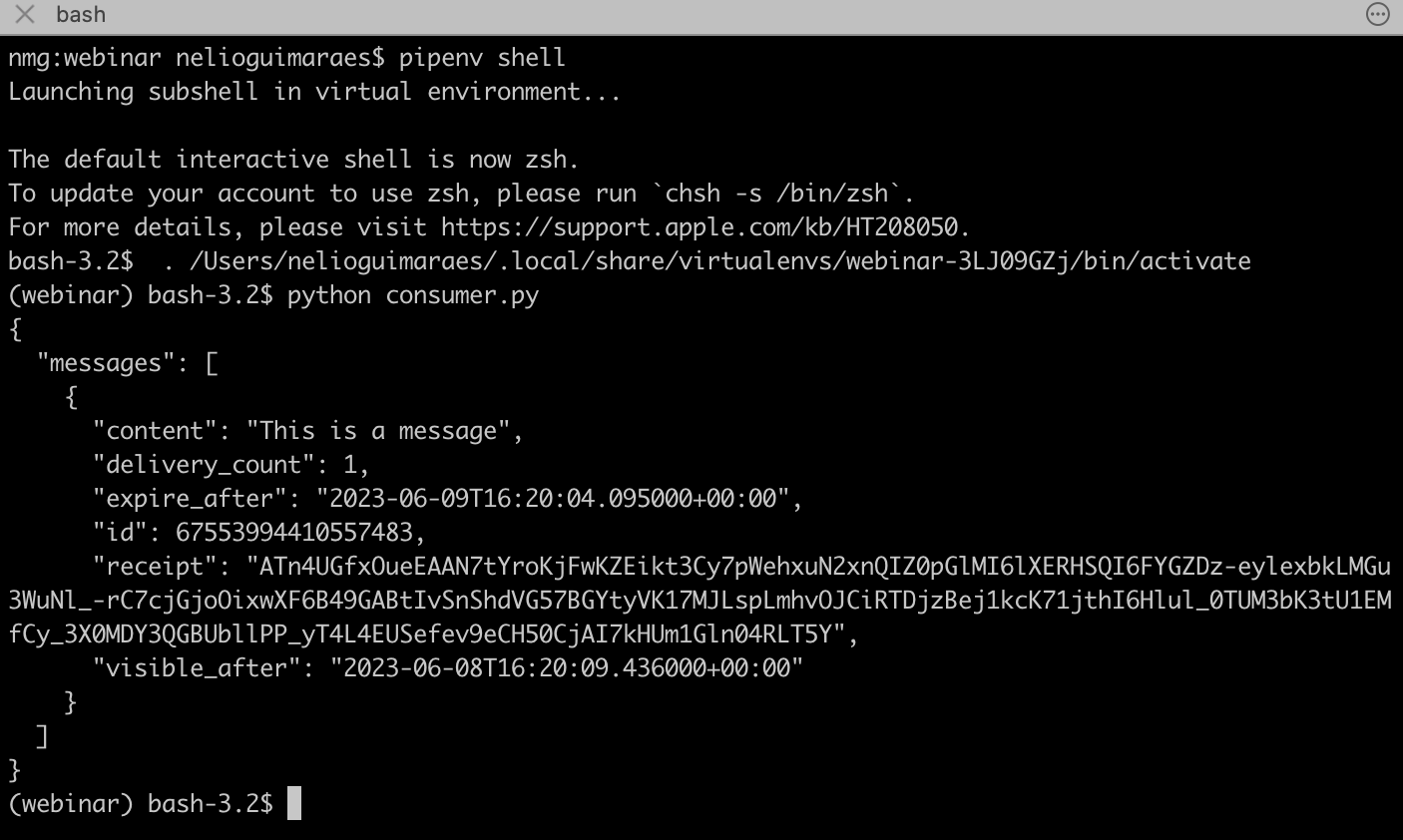 screenshot of the command line