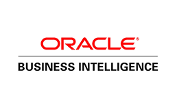Oracle Business Intelligence Enterprise Edition-1