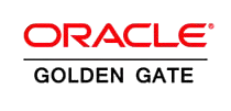 Pythian supports Oracle Golden Gate with Oracle consulting services.